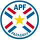 Paraguay fotbalový dres Paraguay fotbalový dres